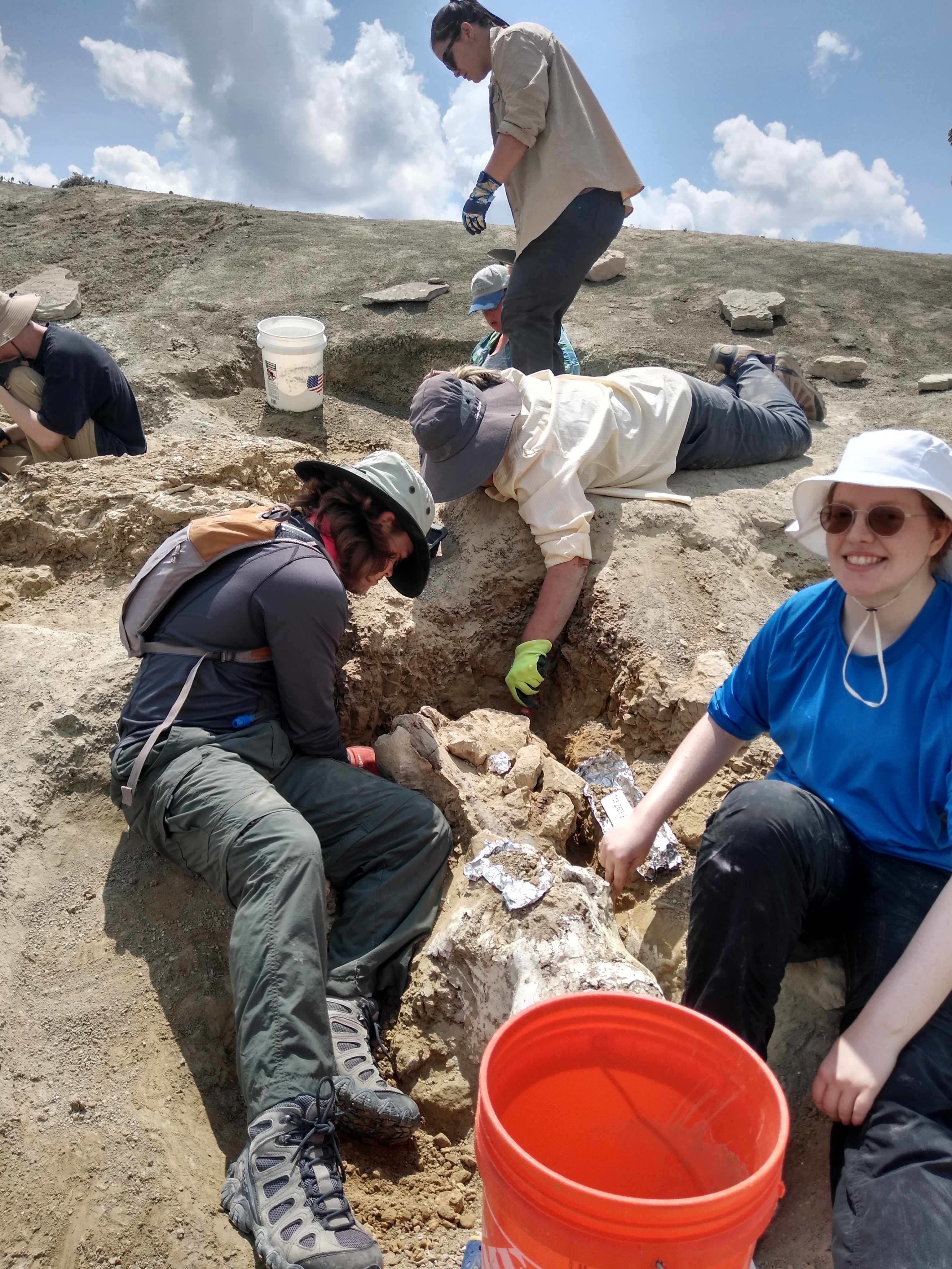 2023 Wyoming Dinosaur Dig