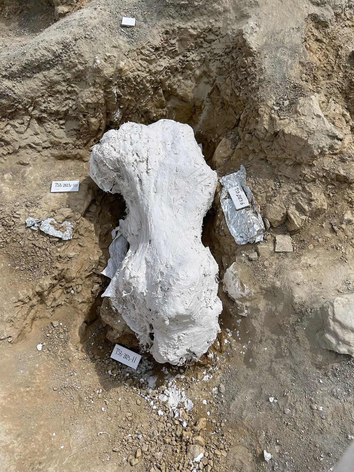 2023 Wyoming Dinosaur Dig